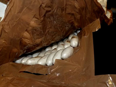 Мексиканская полиция конфисковала с судна под немецким флагом 170 кг кокаина