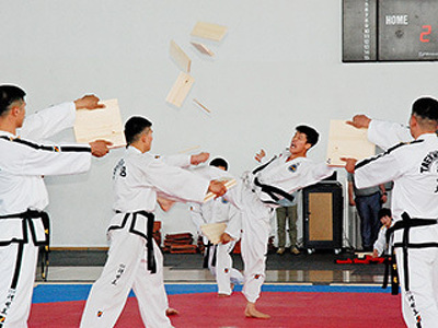 Корейские спортсмены показали в Краснодаре настоящее тхэквондо