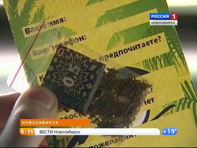 День борьбы с наркоманией в Новосибирске отметят пропагандой здорового образа жизни