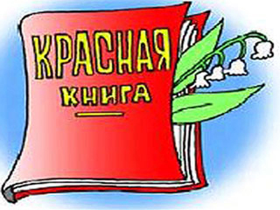 В регионе идет формирование второго издания Красной книги области