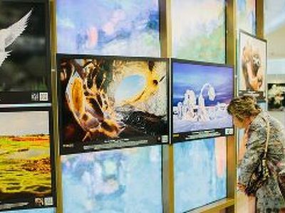 Краснодарцы устроят флешмоб чудес света