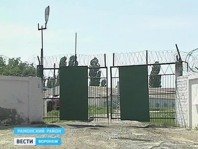 300 тысяч кур погибли на птицефабрике под Воронежем