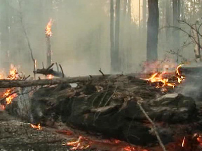 В Якутии локализован пожар на территории Ленских столбов