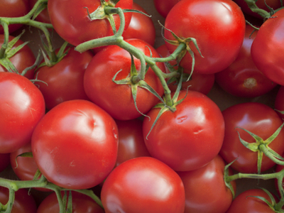 Термообработка улучшает вкусовые качества томатов