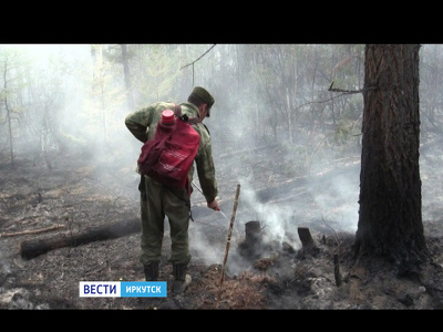 Тайга Иркутской области продолжает гореть