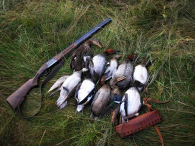 В Пензе возбуждено уголовное дело на охотника, застрелившего товарища