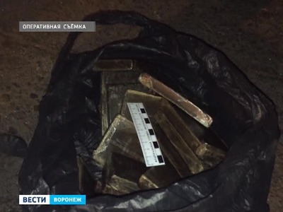 Житель Петербурга пытался провести через Воронежскую область 3 кг гашиша