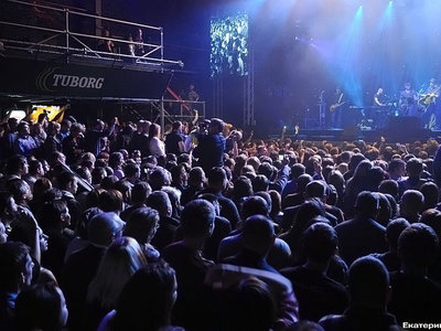 На концерте Шевчука под песню памяти жертв А321 зал встал на колени. Видео