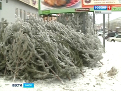 Елочные базары в Омске откроются в первый календарный день зимы