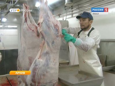 На Ямале заготовлено почти полторы тысячи тонны мяса