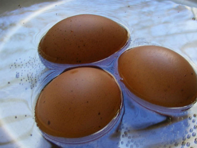 Куриные яйца не дадут ребёнку стать забывчивым (фото Wikimedia Commons). 