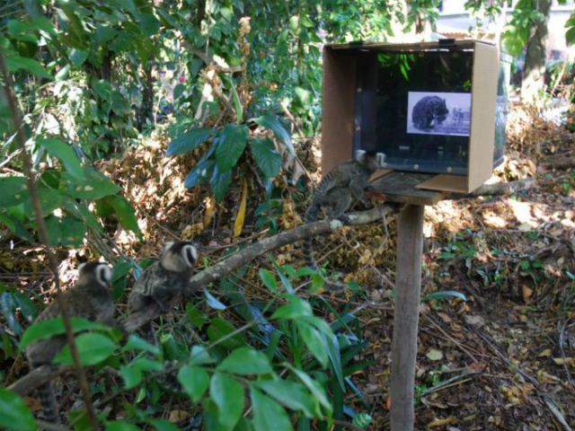 Файл загружен. Размер: 407381 байт