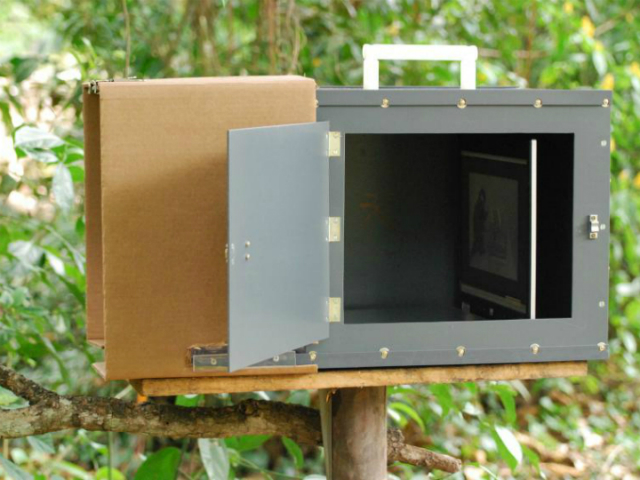 Экспериментальная видеоустановка (фото Biol. Lett., сентябрь 2014, doi 10.1098/rsbl.2014.0439). 