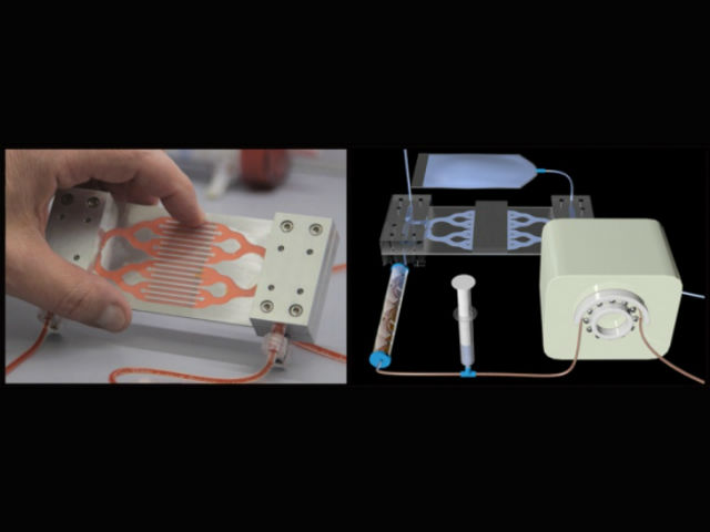 Искусственная селезёнка является экстракорпоральным устройством, которое с лёгкостью очистит кровь от инфекций (фото Wyss Institute Harvard). 