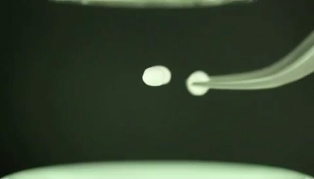 При помощи ультразвуковых волн учёные заставляли клетки срастаться вместе и образовывать единую ткань (фото University of Southampton). 