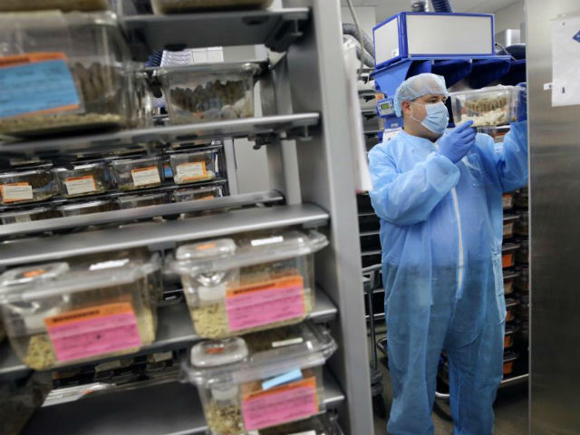 Специалисты рекомендуют подбирать терапию на мышиной модели пациентам с обширным распространением рака или тем, кто уже прошёл начальный курс и которым теперь необходимо определить дальнейшее лечение (фото Patrick Semansky).