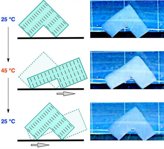 Ноги L-образного куска полимера своевременно растягивались и сокращались, позволяя объекту буквально шагать в воде (иллюстрация RIKEN).