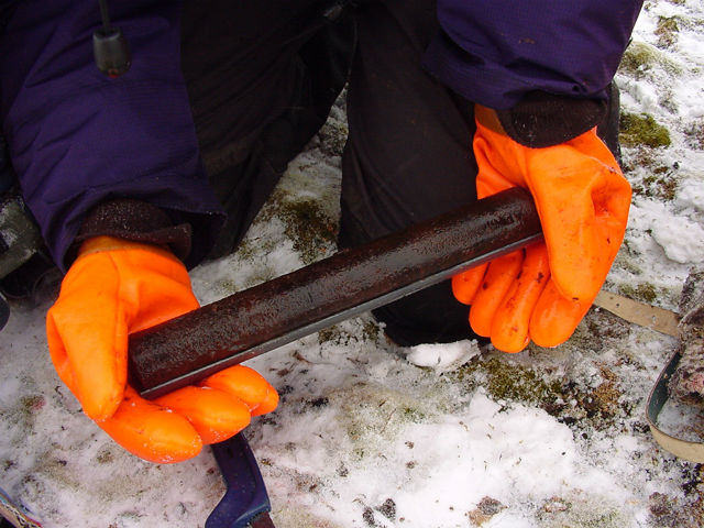 Замороженный мох внутри ледяного керна, добытого с глубины (фото Esme Roads). 