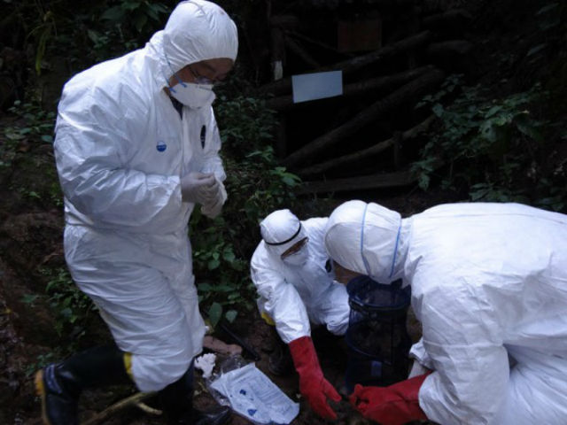 Цзинь и его коллеги работают на месте заражения троих китайских рабочих (фото Qi Jin). 