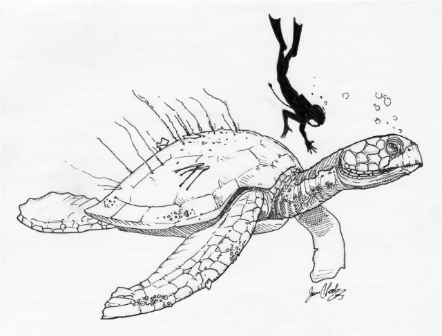 А. mortoni  в представлении художника: рисунок позволяет понять, насколько гигантским было животное (иллюстрация Jason Poole, Academy of Natural Sciences of Drexel University). 