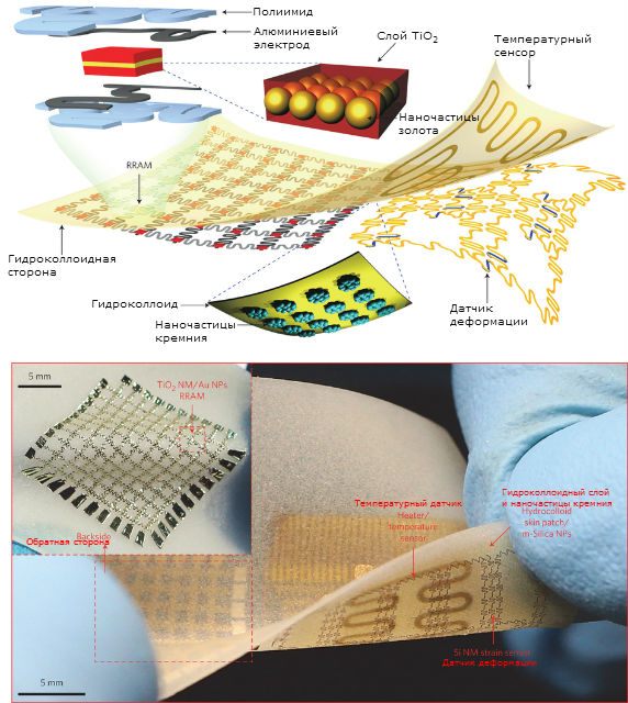Строение и датчики "второй кожи" (иллюстрация Nature Nanotechnology).