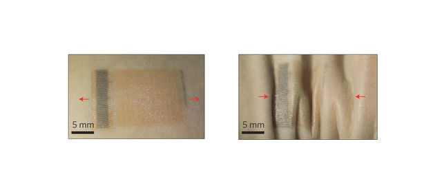 Устройство работает даже при растяжении и сжатии. Стрелки указывают направление воздействия. "Пластырь" был наклеен на запястье (иллюстрация Nature Nanotechnology).