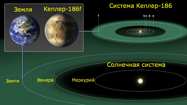 Сравнение масштабов планет и орбит Солнечной системы и системы Кеплер-186. Из-за тусклости родного светила изученная экзопланета получает столько же тепла, сколько и Земля, располагаясь на более близкой орбите (иллюстрация NASA). 