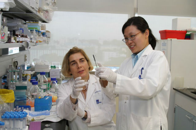 Шарлотт Хаузер и её коллега Юйхуа Эва Лу за работой (фото Institute of Bioengineering and Nanotechnology).