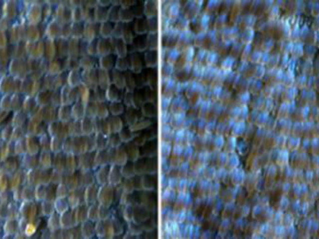 Файл загружен. Размер: 59981 байт