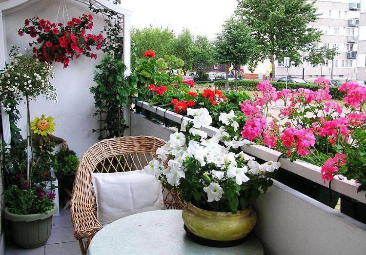 Apartment ideas balcony: small apartment garden ideas. apartment ...